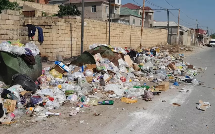 Masazırda zibil problemi: Bələdiyyənin, yoxsa vətəndaşların səhlənkarlığı?